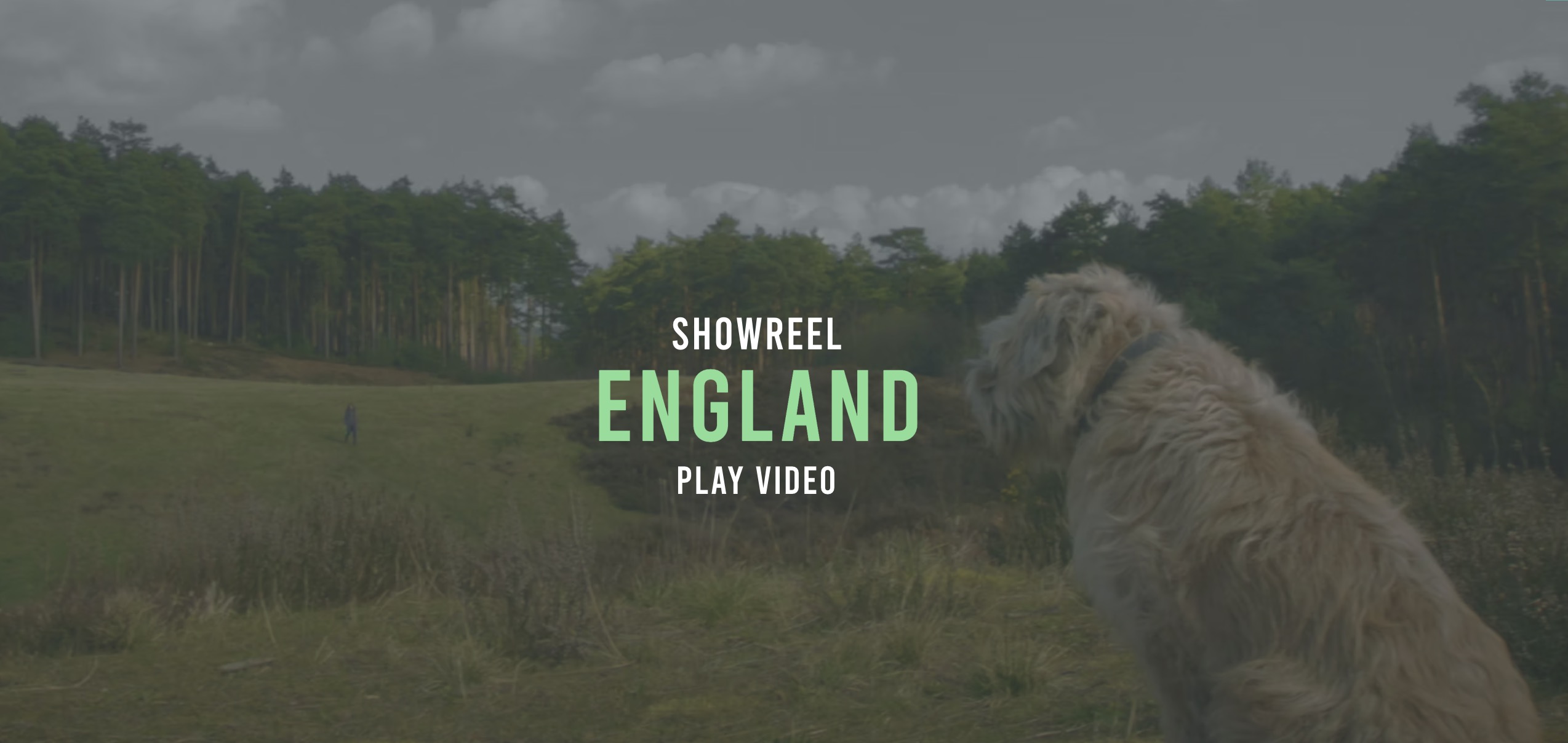 portfolio item photo